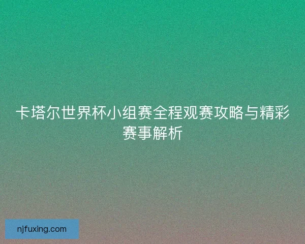 卡塔尔世界杯小组赛全程观赛攻略与精彩赛事解析
